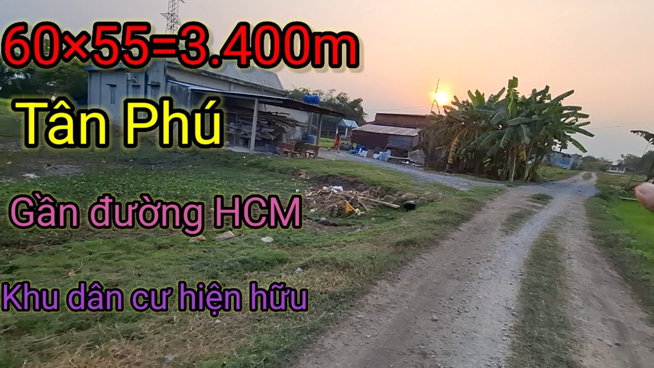 ĐẤT TÂN PHÚ LONG AN CŨ CÁCH ĐƯỜNG HCM 250M 60×55=3.400M KHU DÂN CƯ HIỆN HỮU