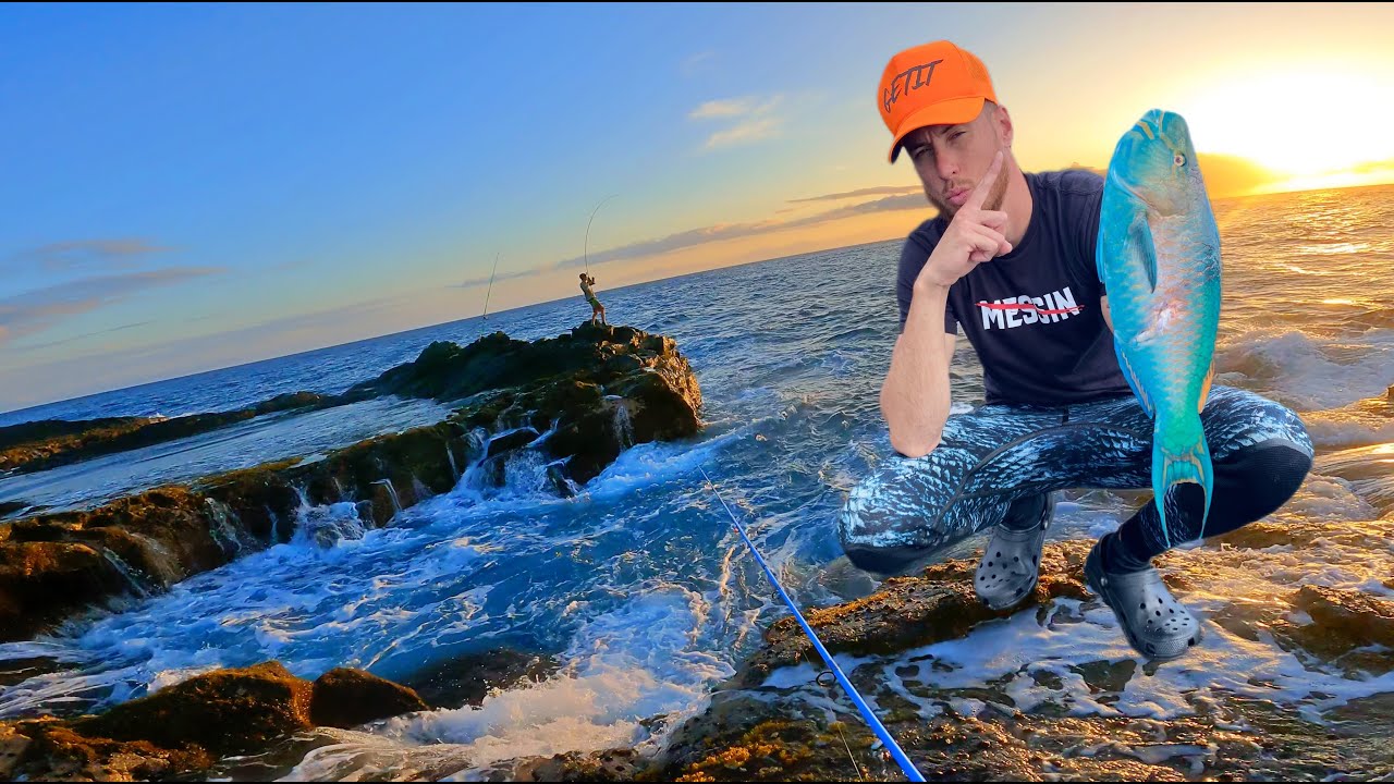 Exploring the Big Island Part 4 / Sharks, Uhus, And Big Screamaz / Family Spearfishing Hawaii Vlog