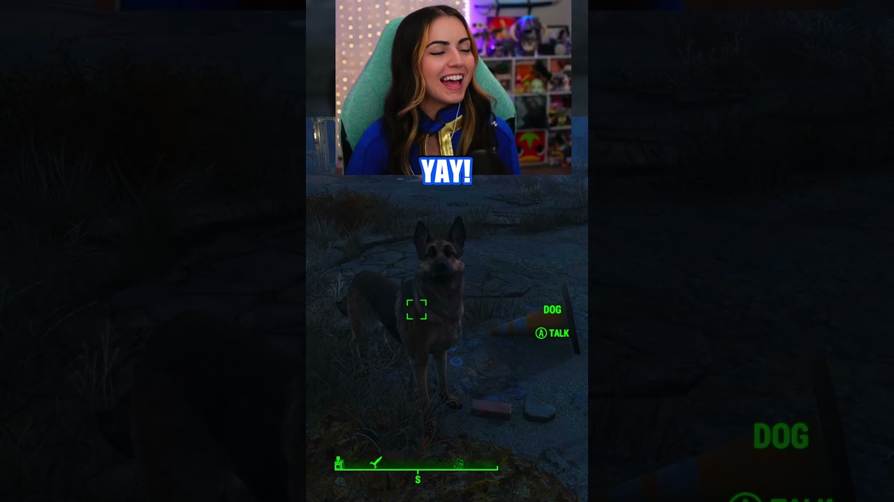 First time meeting dogmeat in #fallout4 #fallout