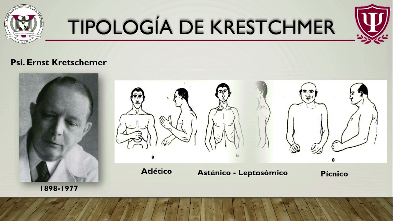 Tipologias de la Personalidad por Ivan Diaz Eufracio
