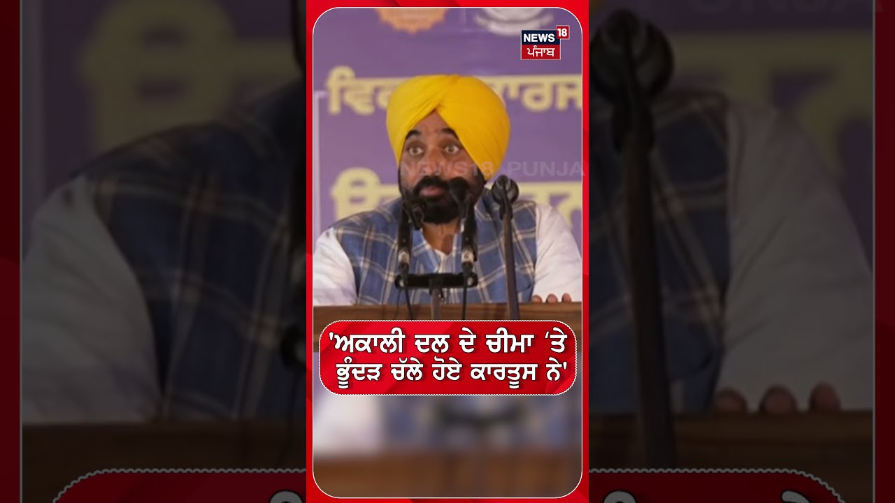 'ਅਕਾਲੀ ਦਲ ਦੇ ਚੀਮਾ ਤੇ ਭੁੰਦੜ ਚੱਲੇ ਹੋਏ ਕਾਰਤੂਸ ਨੇ'- CM Mann | #shorts |  N18S
