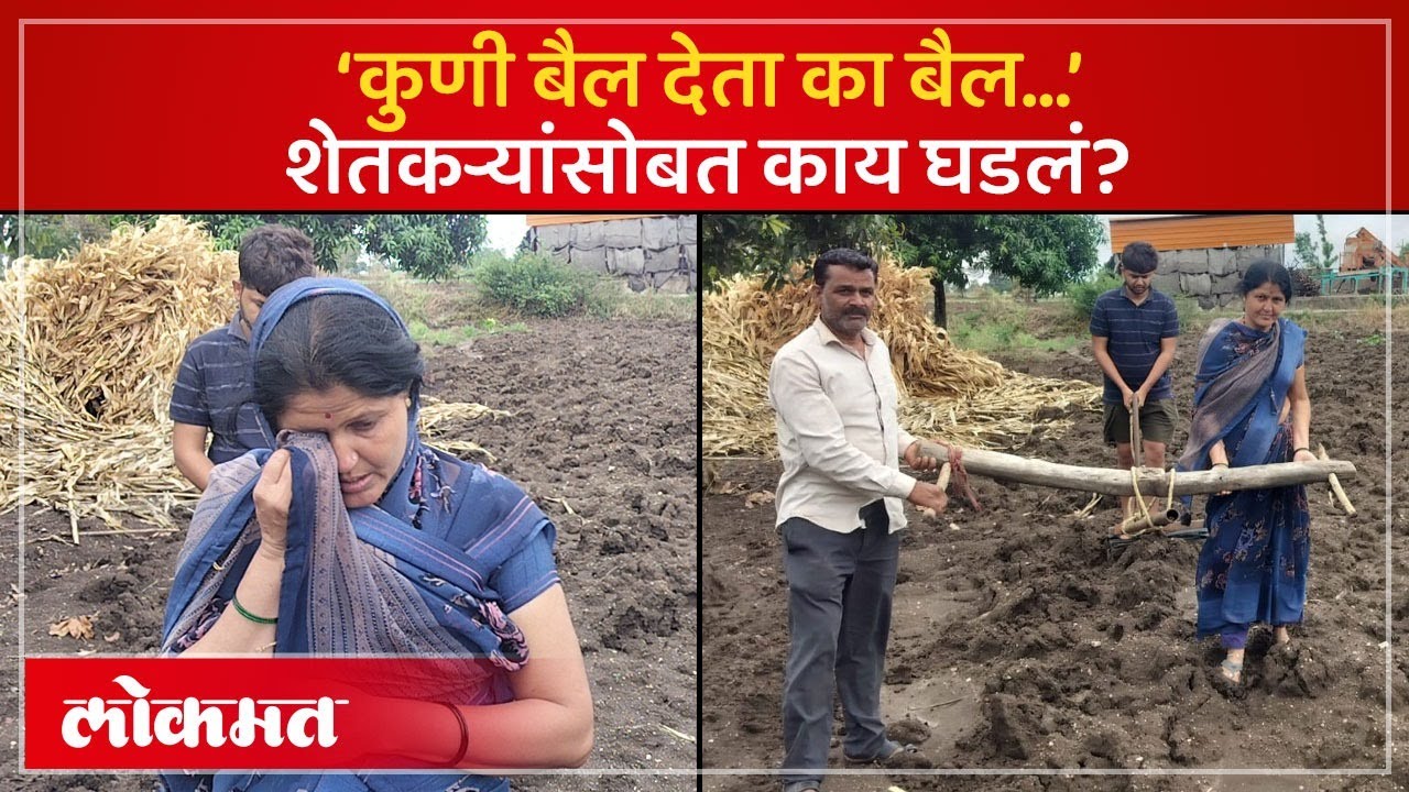 शेतकरी पत्नीसह स्वतः वखारला जुंपला, बैलांचं काय झालं? पोलिसांवर आऱोप... | Jalna Bull Stolen | AM2