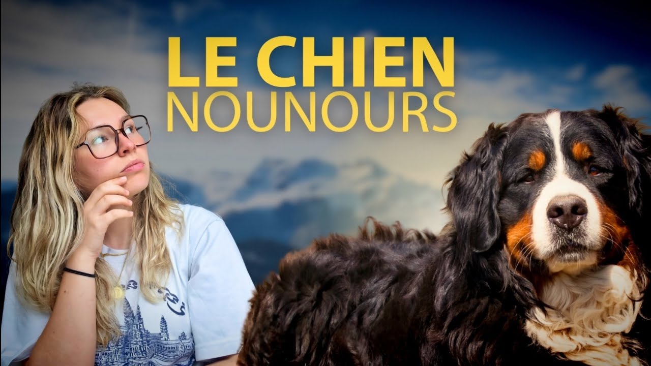 L'HISTOIRE DU BOUVIER BERNOIS #HDR