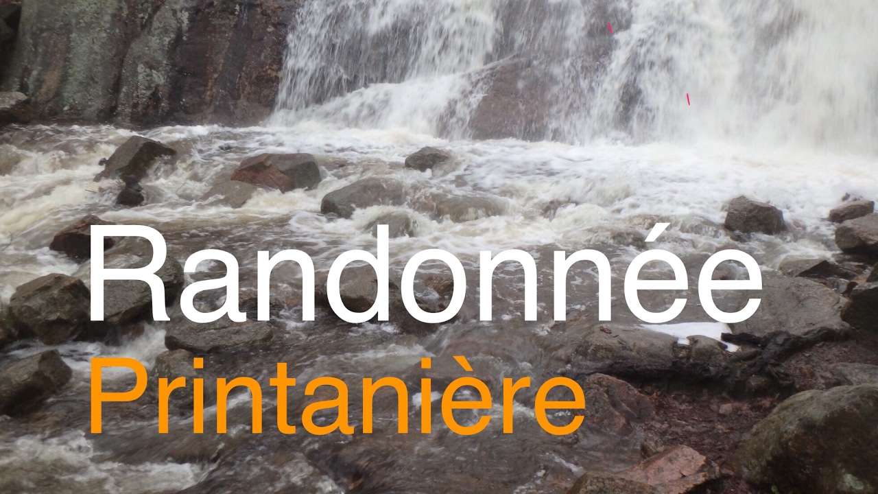 Randonnée printanière au Chutes de Luskville et sentier 1