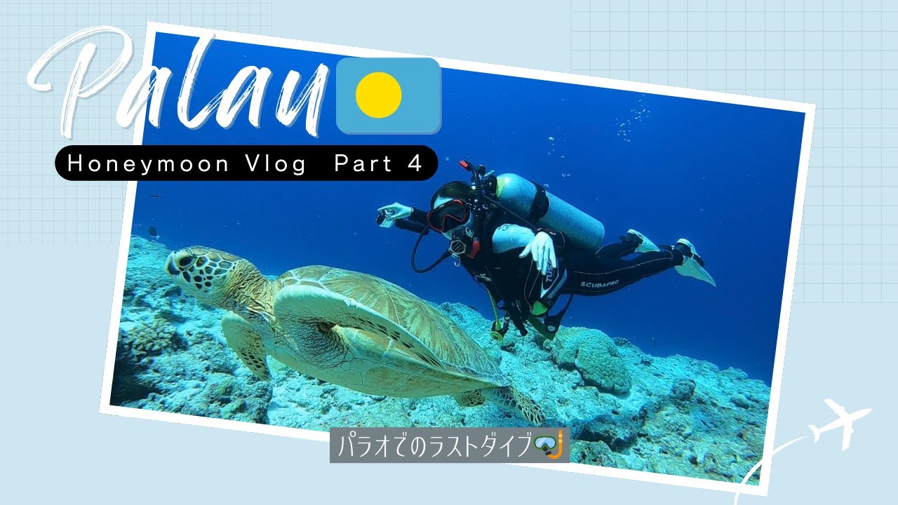 【ハネムーン in パラオ Part4】ラストダイビング…カメ＆マンタと泳いだ最高の1日🐢🌊