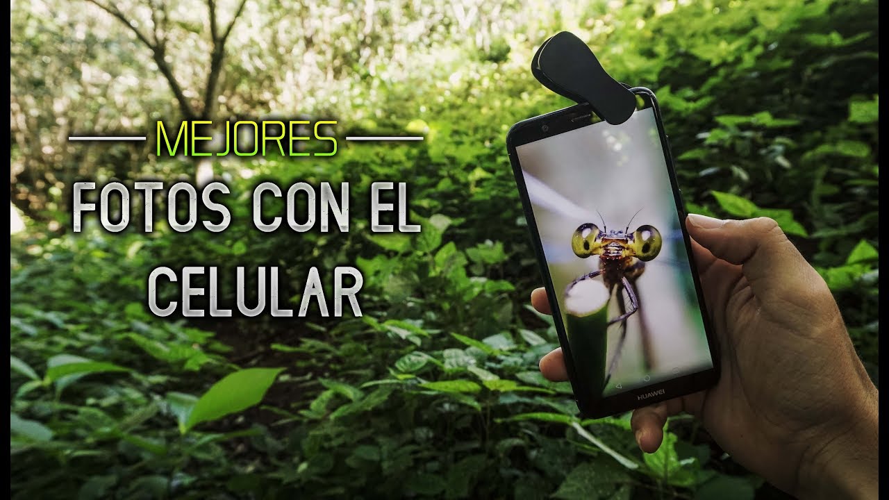 Mejores FOTOS CON EL CELULAR | Fotos Macro