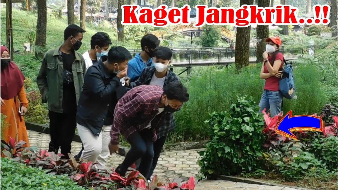 Diketawain sampai puas...!! Funny Bushman Prank