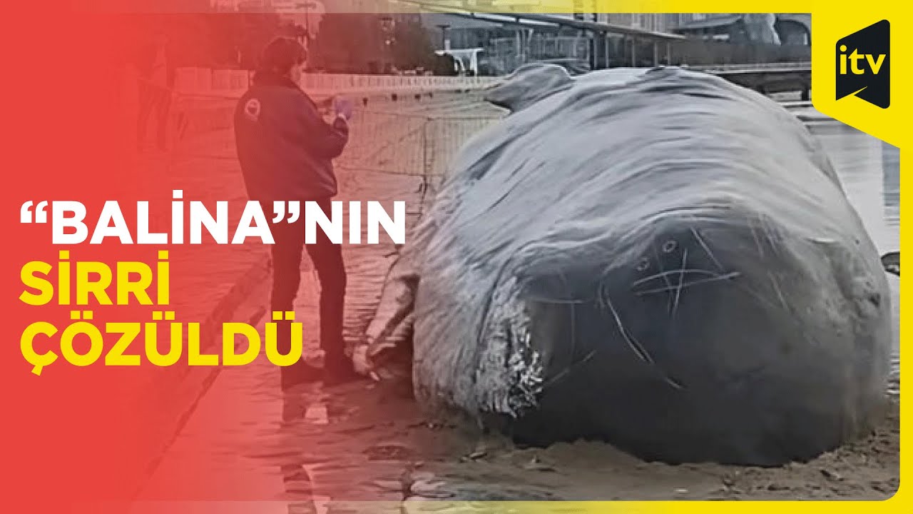 Xəzər dənizində görüntülənən nəhəng “balina” maket imiş