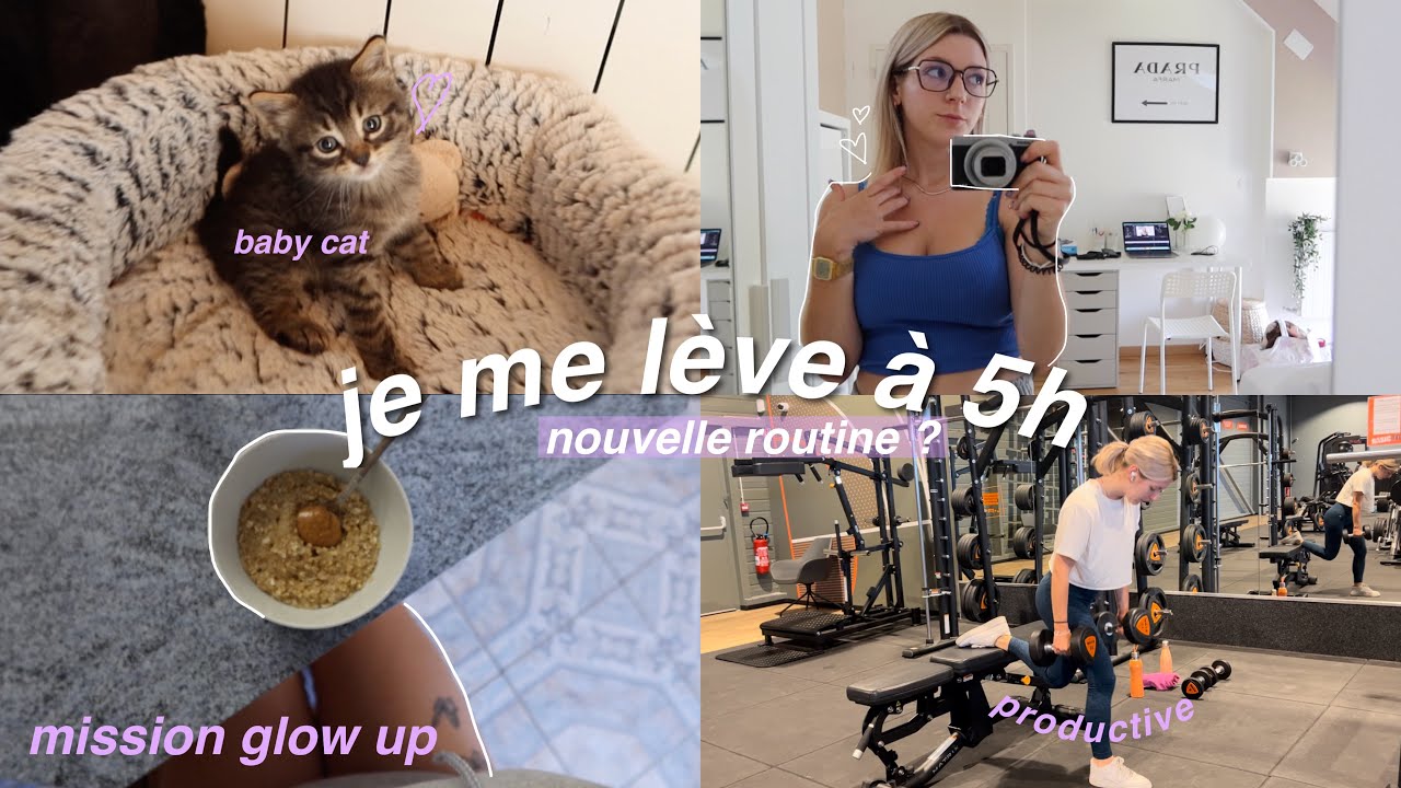 JE ME LÈVE À 5 HEURES DU MATIN... (avec mon bb chaton)