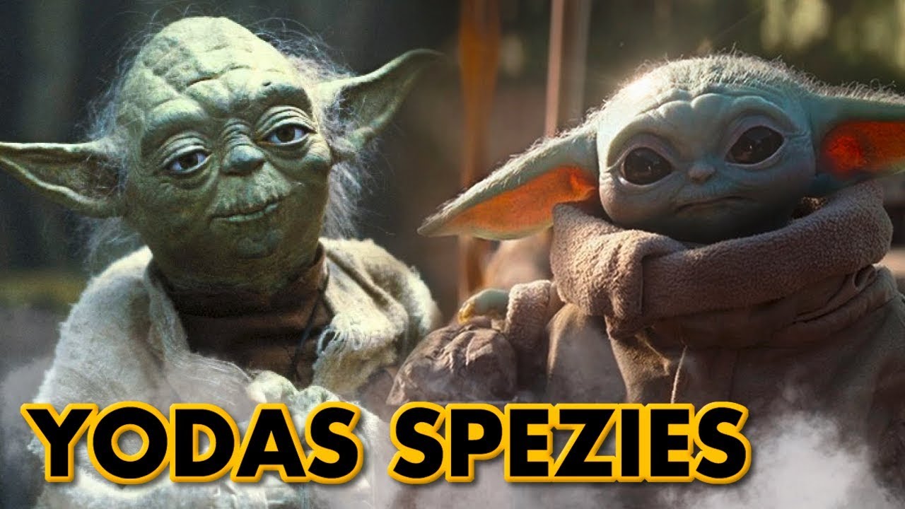 Wie viele Angehörige von Yodas Spezies gibt es?