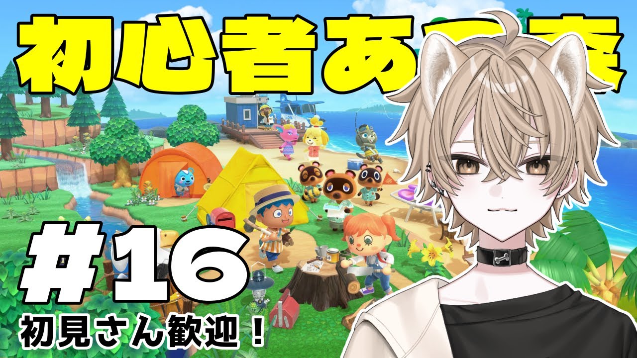 【初見あつ森】島生活16日目！パニーの島の募金をしたい！初心者に色々教えてください！【あつまれどうぶつの森】