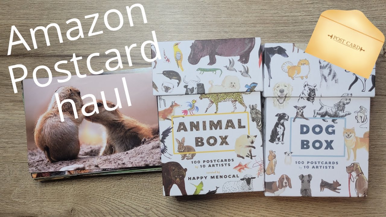 Amazon postcard haul: Animal box, Dog box and cute animal photos