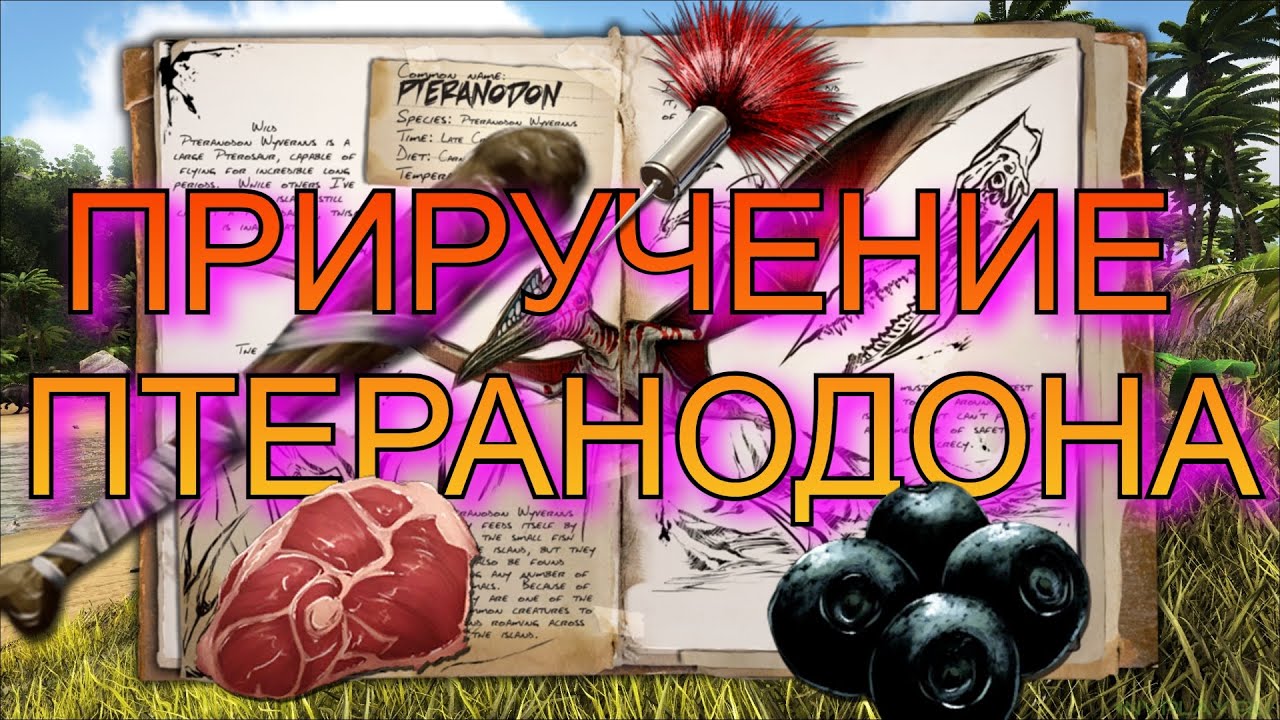 ARK ПТЕРАНОДОН ПРИРУЧЕНИЕ
