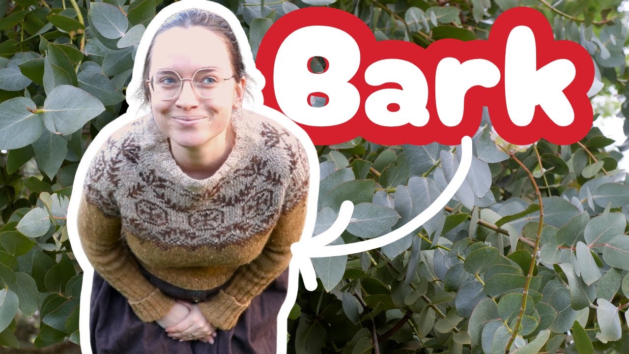Knit and dye with me: Foraged Eucalyptus Bark to Stranded Colourwork handknit sweater!