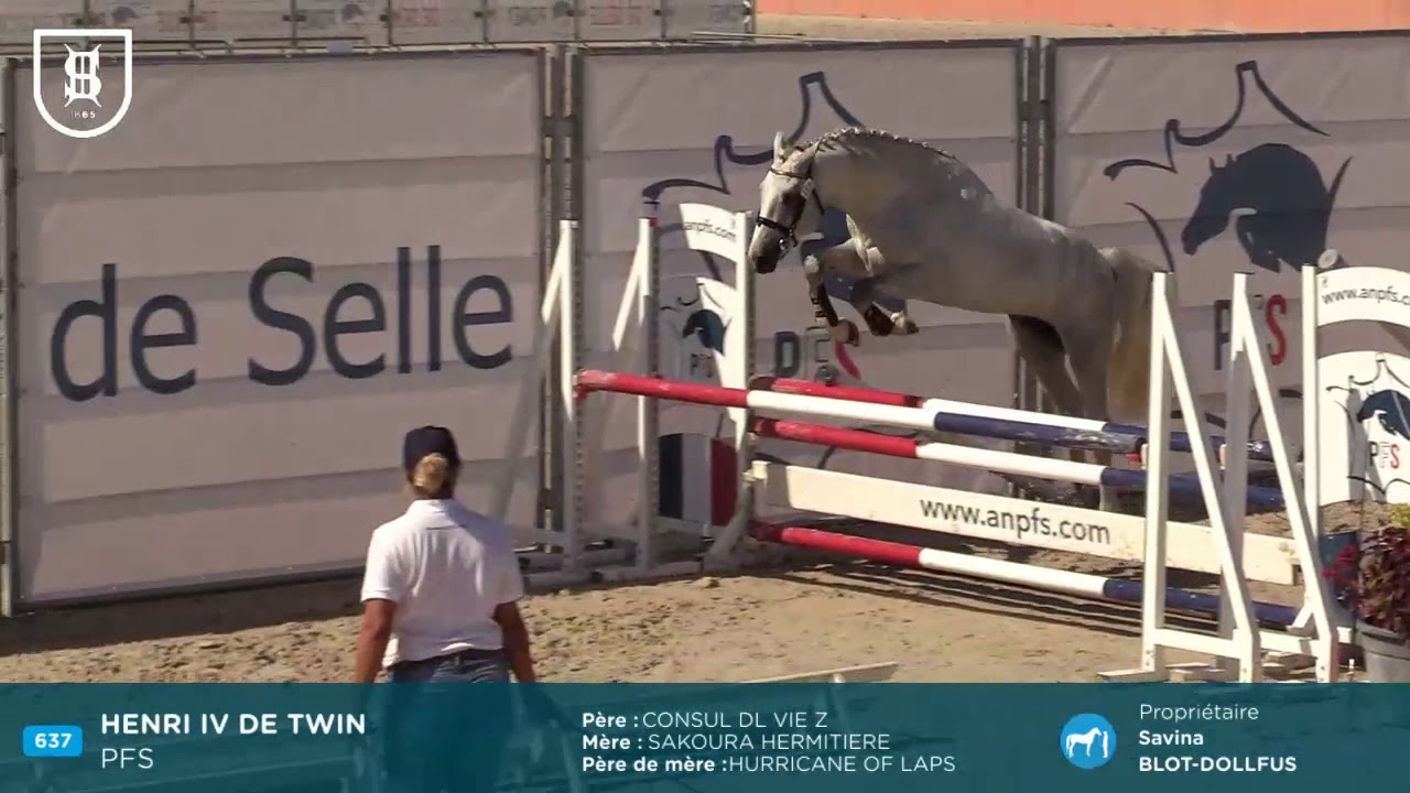 Sologn'Pony 2019 - Poney Français de Selle - Étalons de 2 ans approuvés