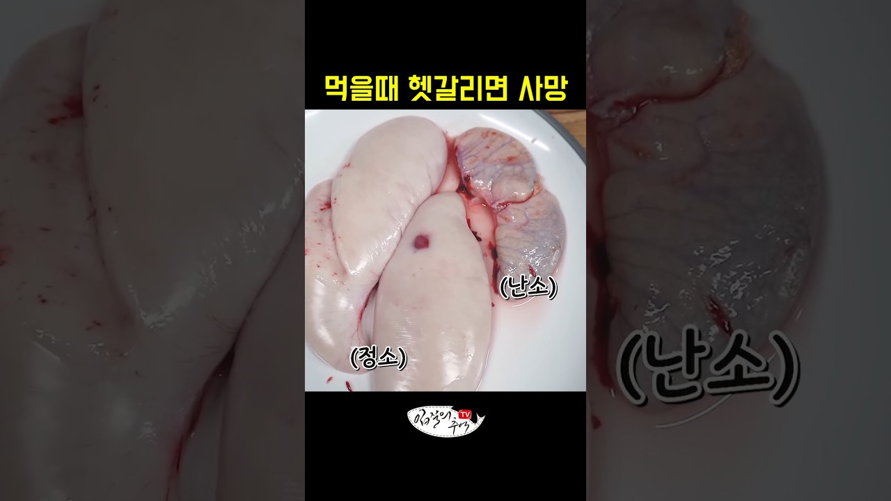 넘 맛있지만 이거 헷갈리면 사망사고나는 생선
