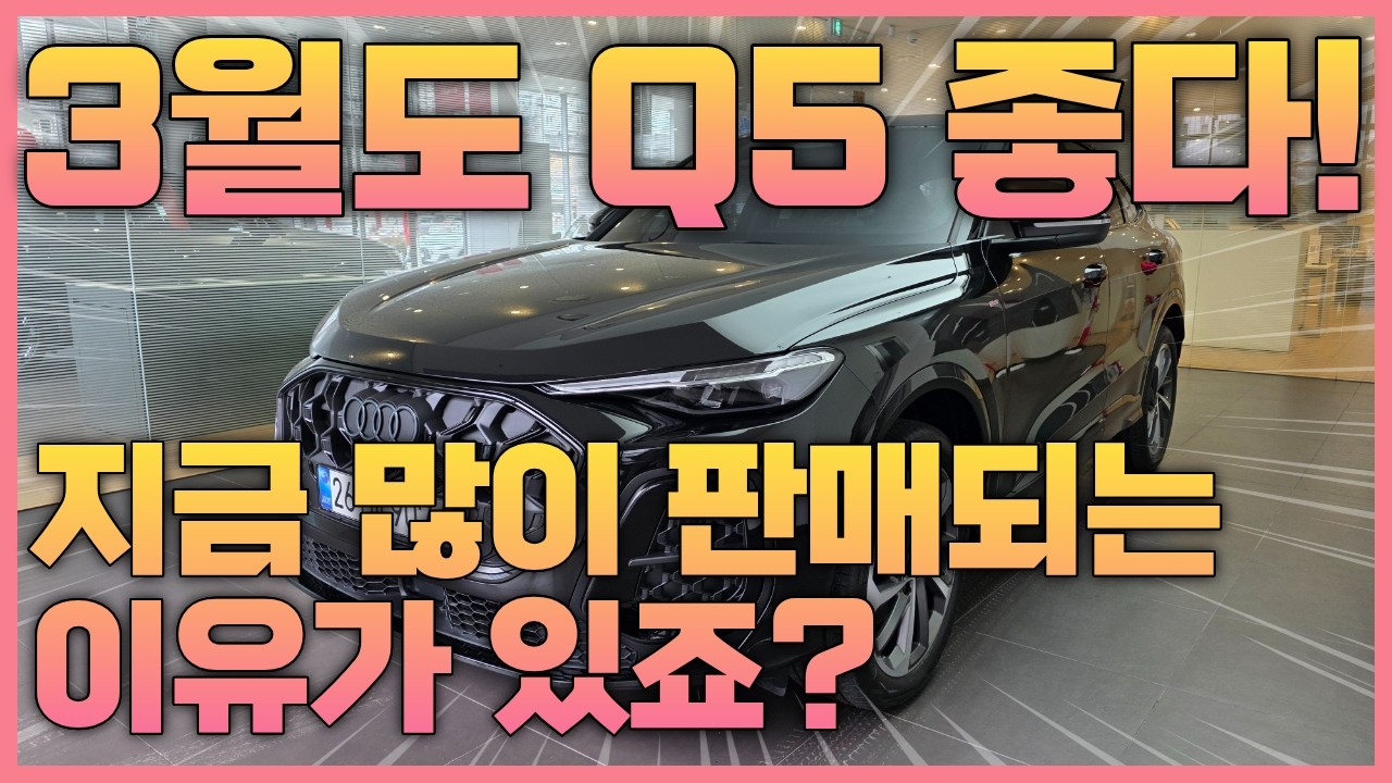 Q5 출고 행진이 끊이질 않습니다!!