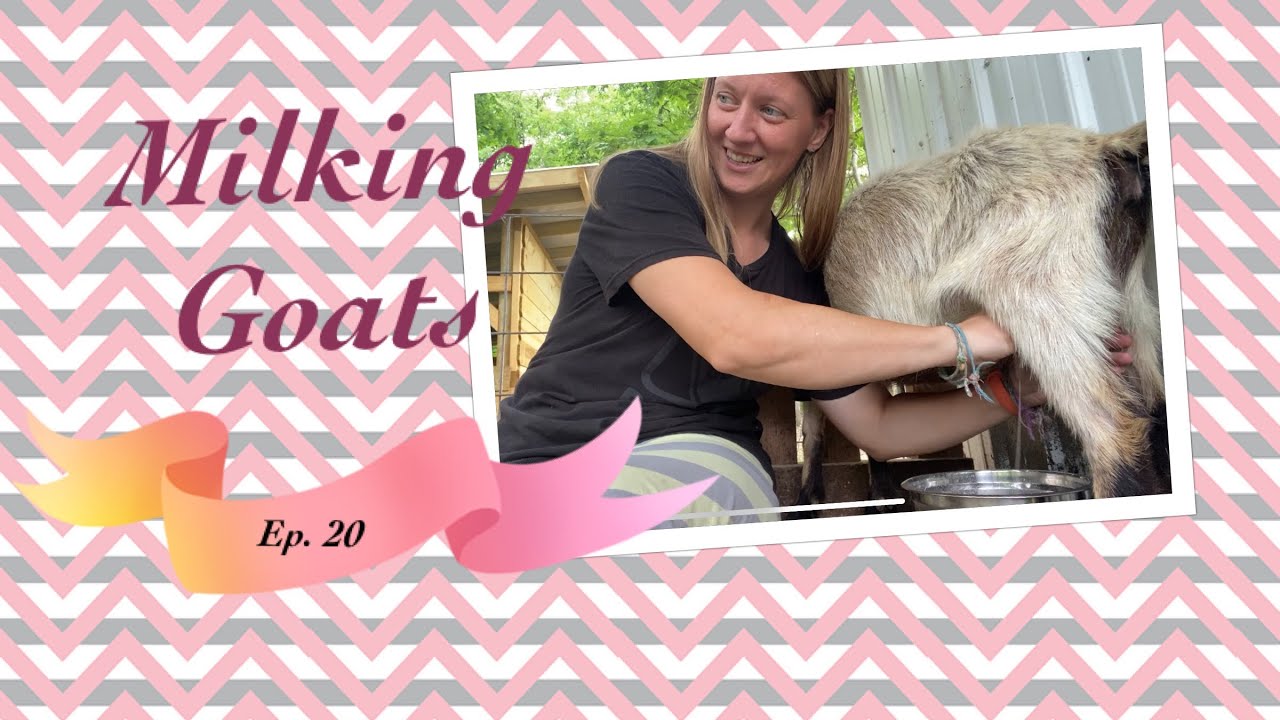 Ep. 20 ~ Milking Goats