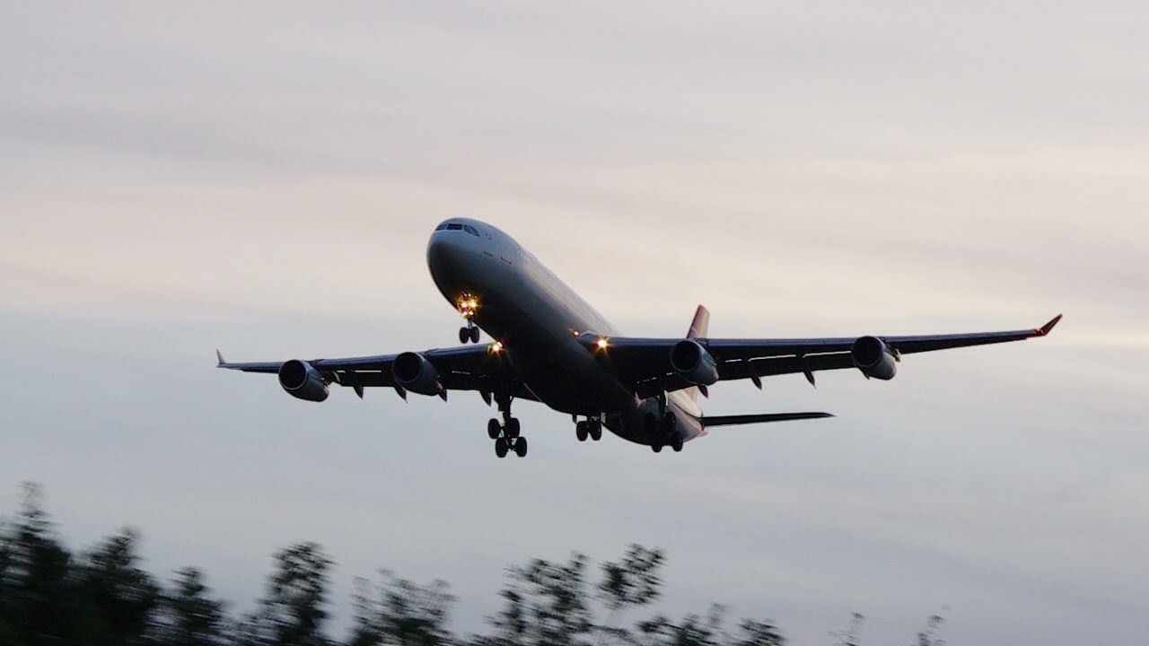 Turkish Airlines | Airbus A340-313 [TC-JII] | Landing at Berlin-Tegel (TXL/EDDT)
