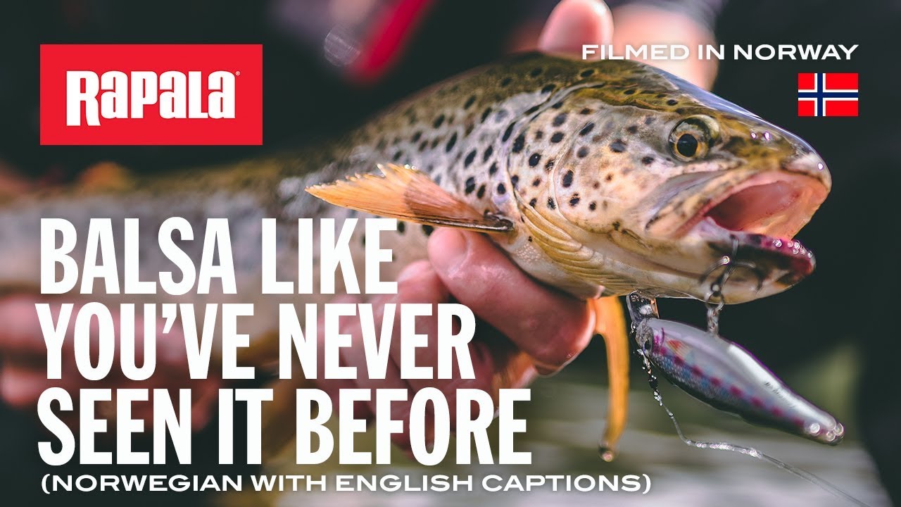 River Fishing With The BX&reg; Minnow | Rapala&reg; (English Subtitles)
