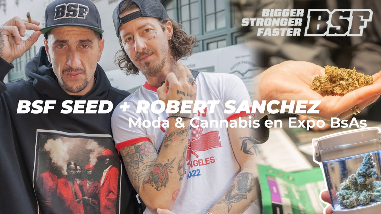 🎥 BSF Seeds & Robert S&aacute;nchez en Expo Cannabis Argentina 🌿 | Semillas S&aacute;nchez OG + Moda