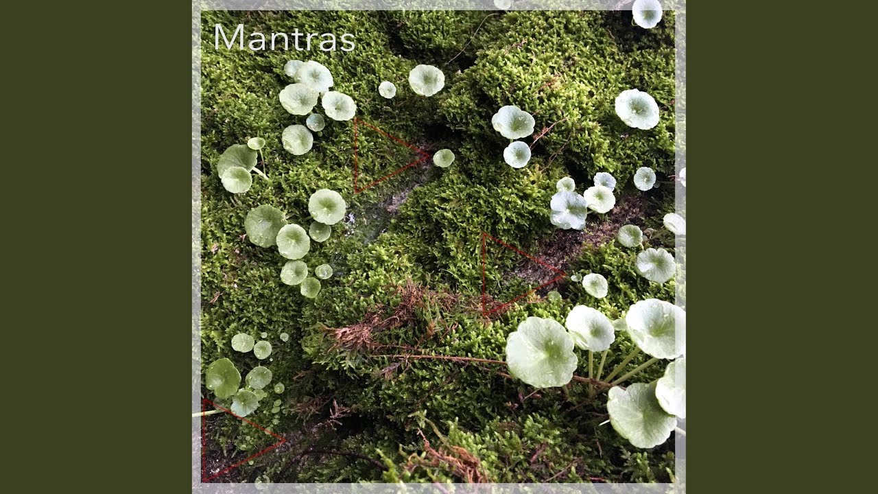 Mantra Space