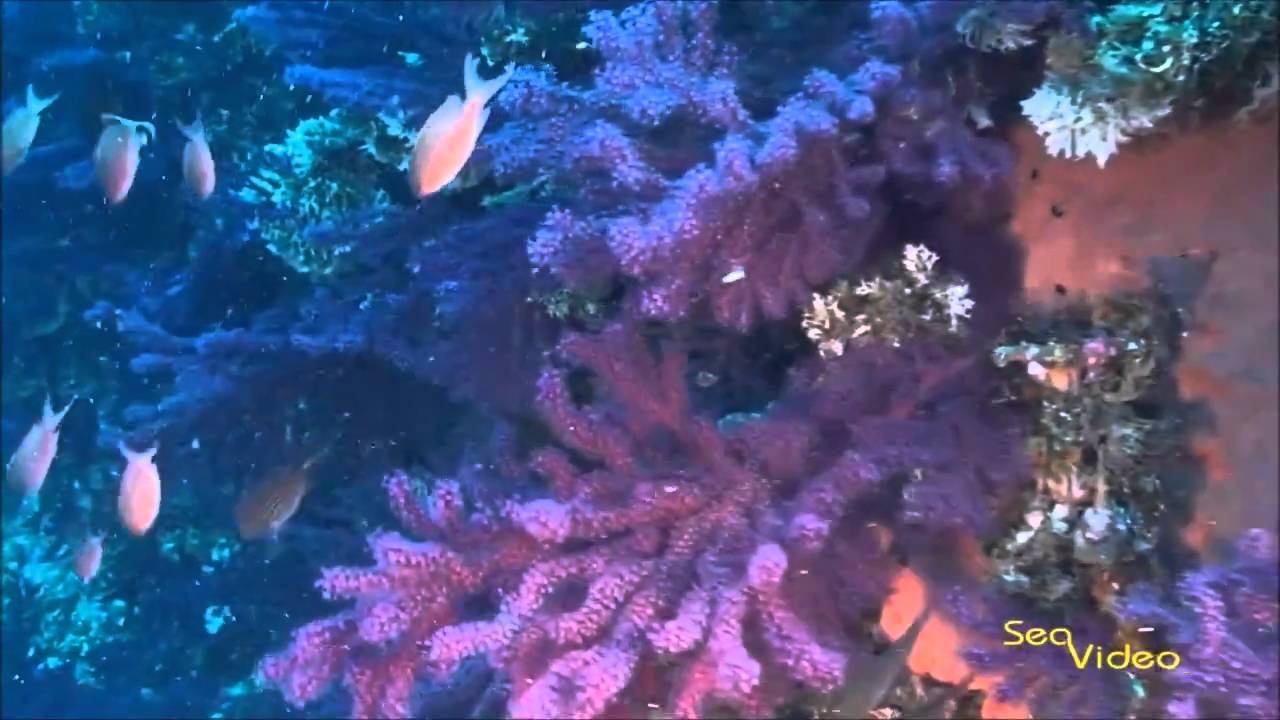 Egadi Islands, Sicily. In HD by Videocom Italia
