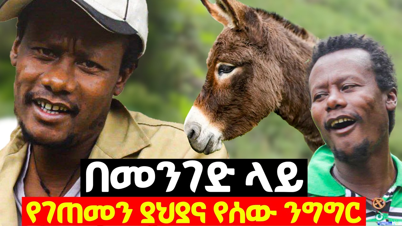 በመንገድ ላይ የገጠመ ያህያና የሰው ንግግር 