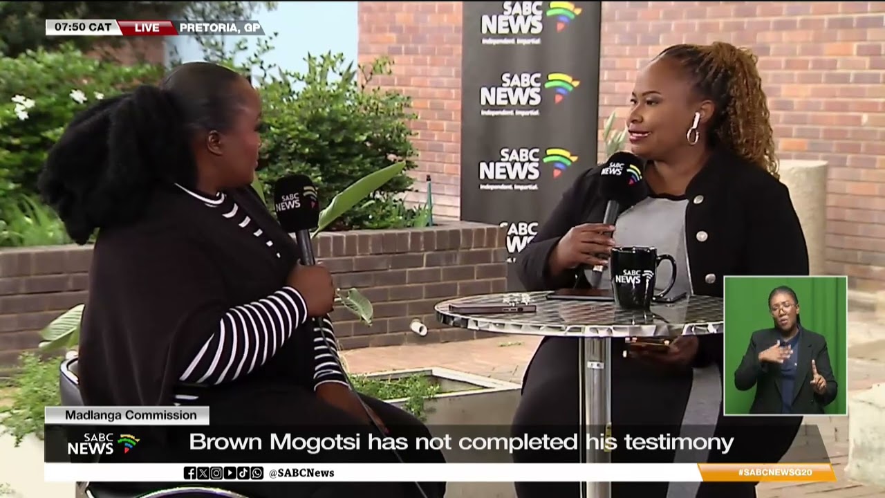 Madlanga Commission I Prof Kholofelo Rakubu on Brown Mogotsi testimonies