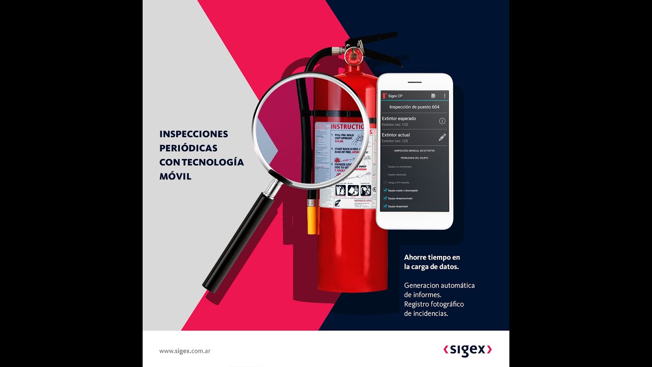 App Sigex CP - Controles Periodicos