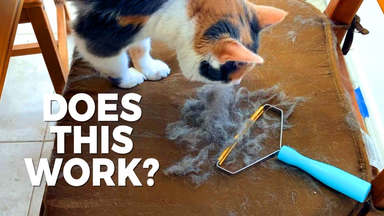 Работает ли? Обзор средства для удаления шерсти и шерсти животных Uproot Clean