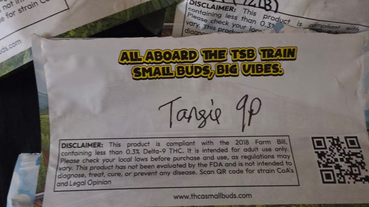 🍊🔥TANGIE FROM THCASMALLBUDS REVIEW