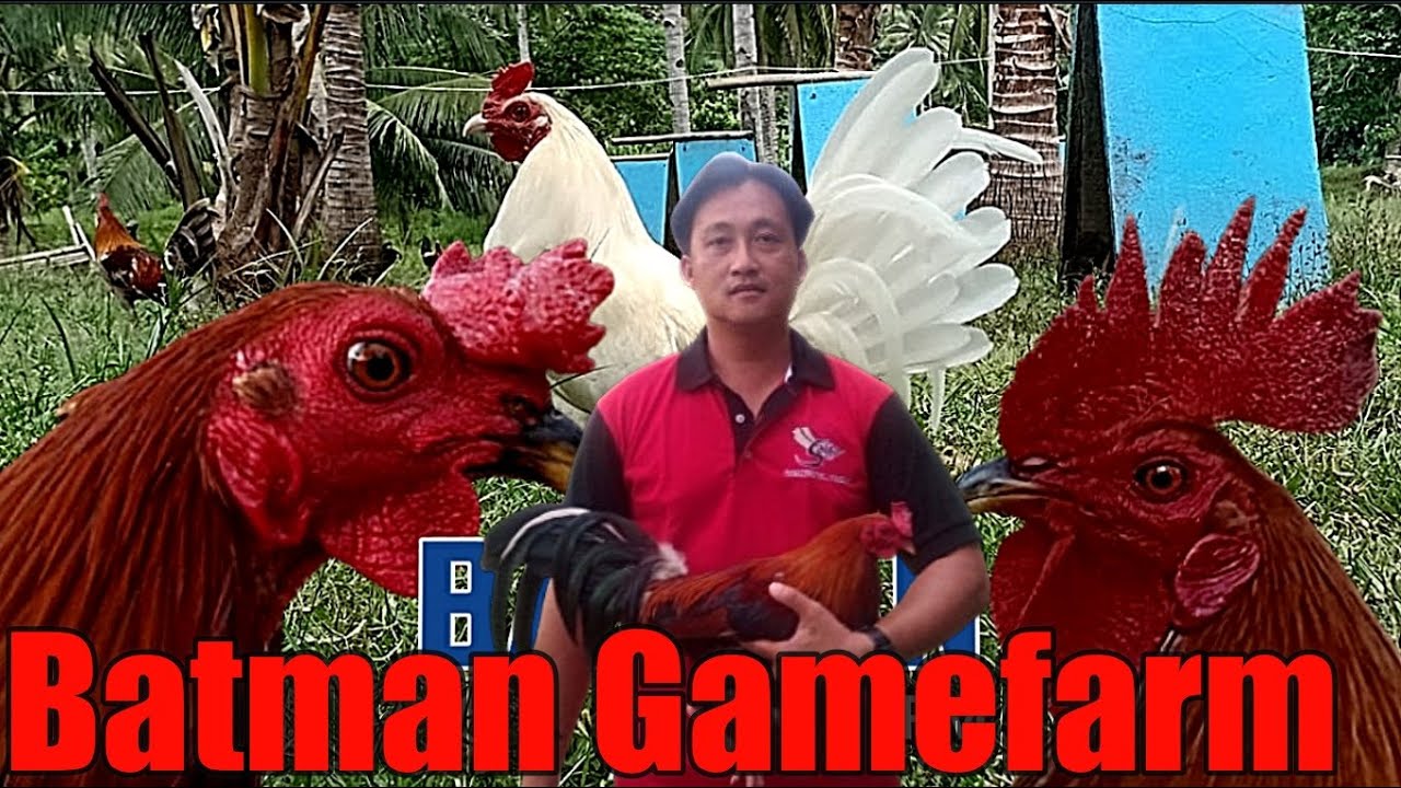 Lets Visit The Farm Of Batman Gamefarm