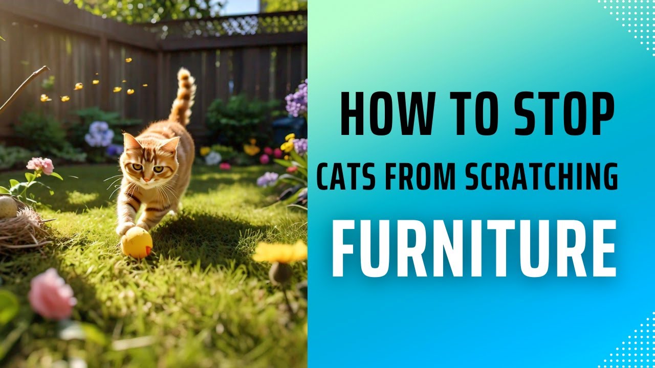 How to Stop Cats from Scratching Furniture