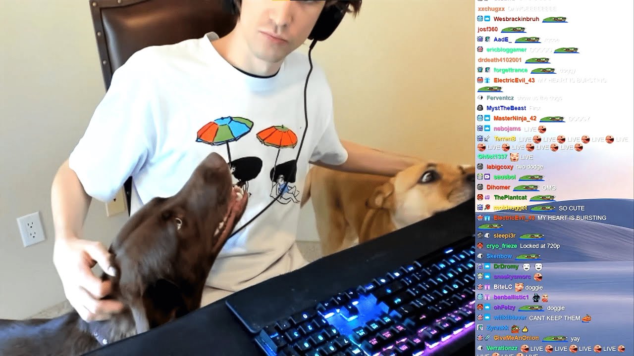 xQc's Dog taking over his stream and crying for X's love (wholesome)