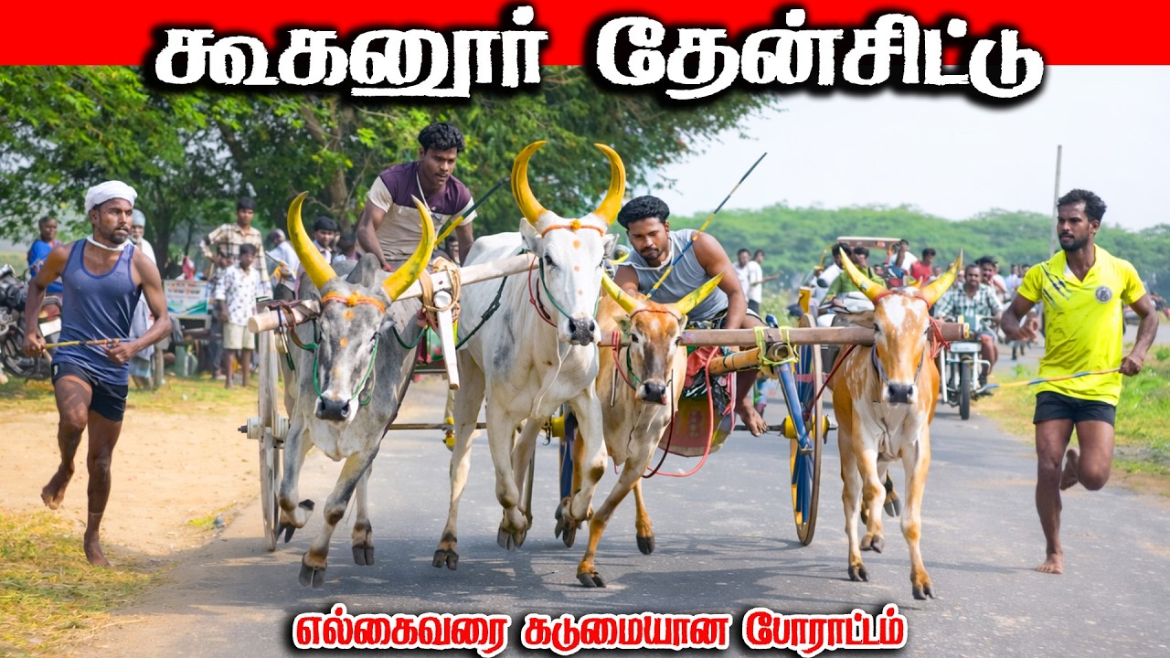 கூகனூர் தேன்சிட்டு 2 பந்தயம் 16.02.2026