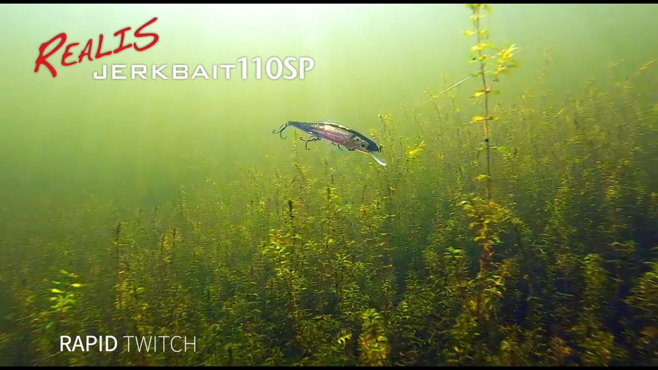 Advanced Lure Instruction - Realis Jerkbait pt .1