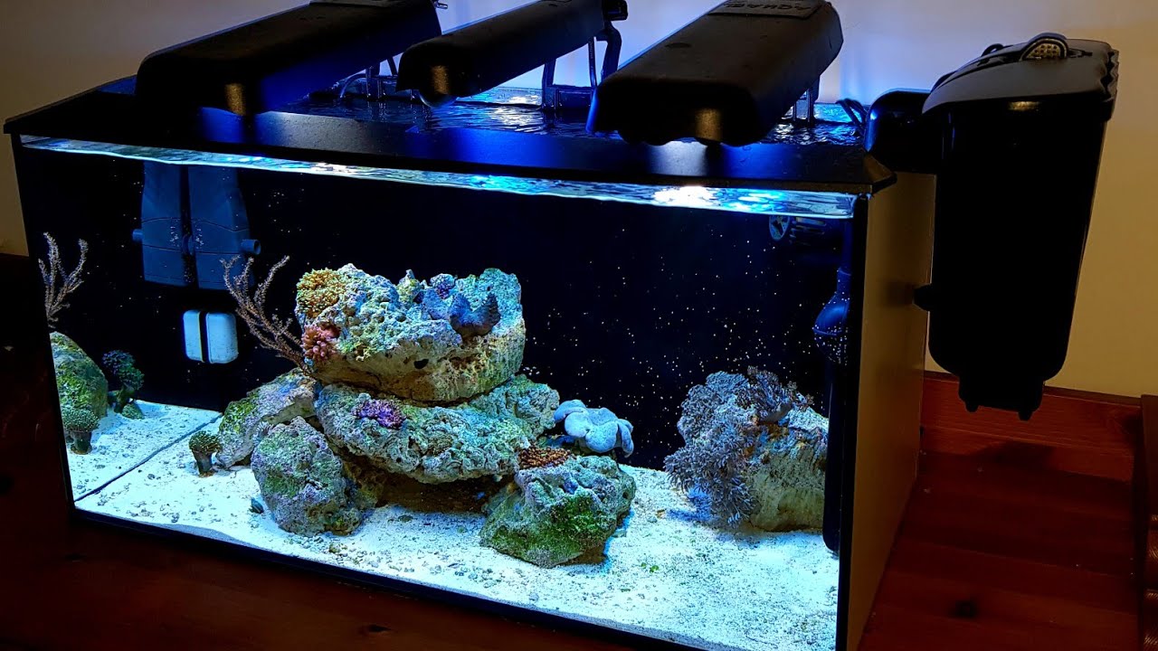 Nano Reef Vlog | Filtracja w akwarium morskim | (27)