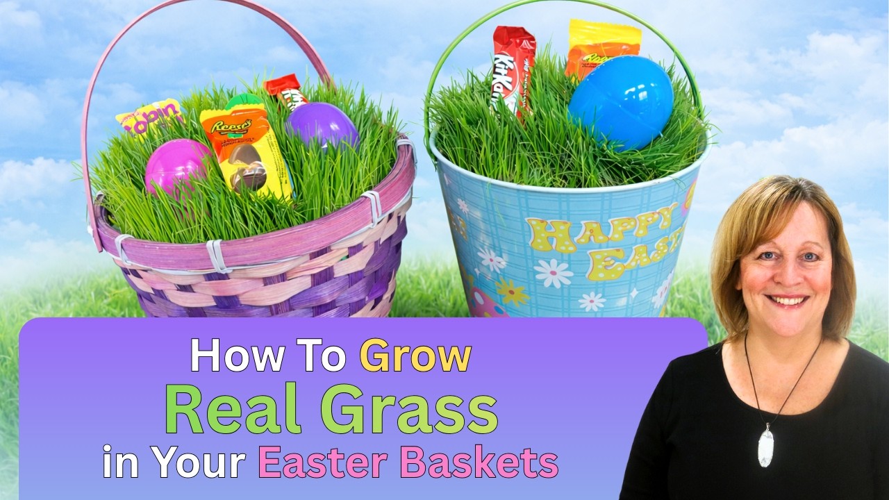 Growing Real Grass in Easter Baskets
