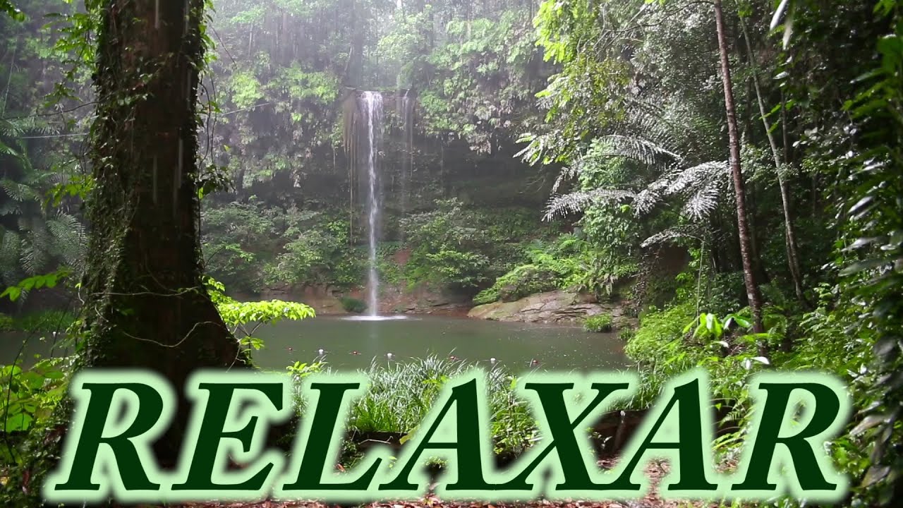 Som de Chuva e Floresta - 2 Horas - Dormir, Relaxar