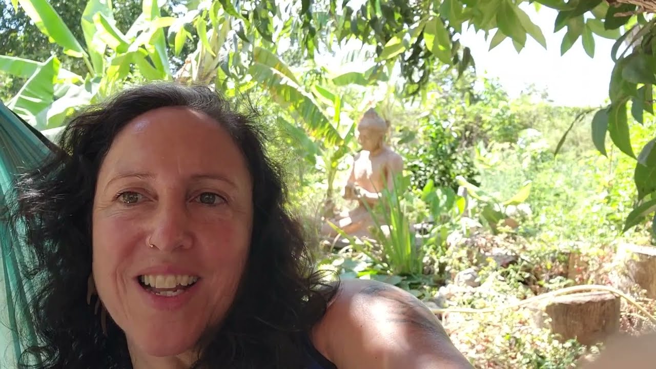 יער מאכל -יער בכפר סיור קצר והסבר על היער מאכל באוגוסט