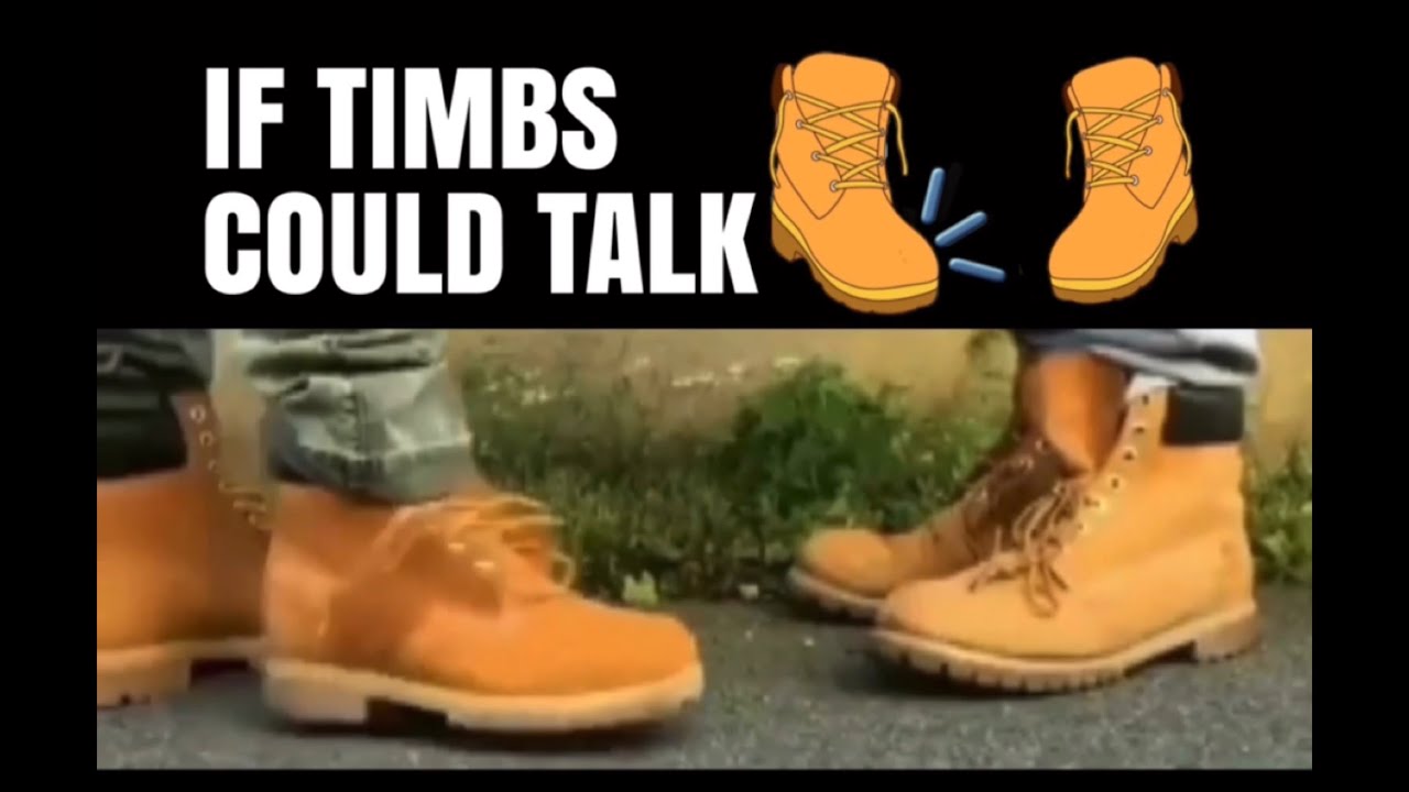 If TIMBS could talk