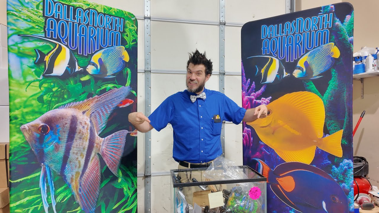 Easy Aquarium Plant Setup for Beginners ! Watch Josh Transform an Empty Tank to Planted Aquarium