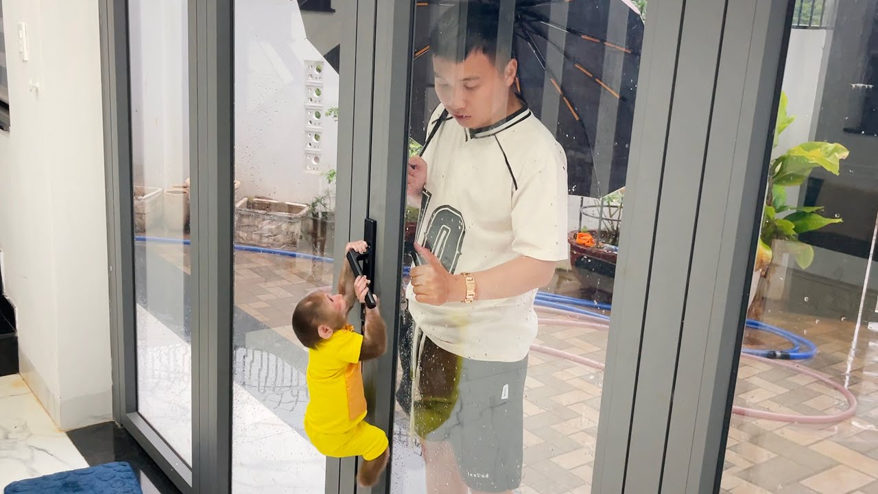 Monkey Cubis smart open stuck door for dad!