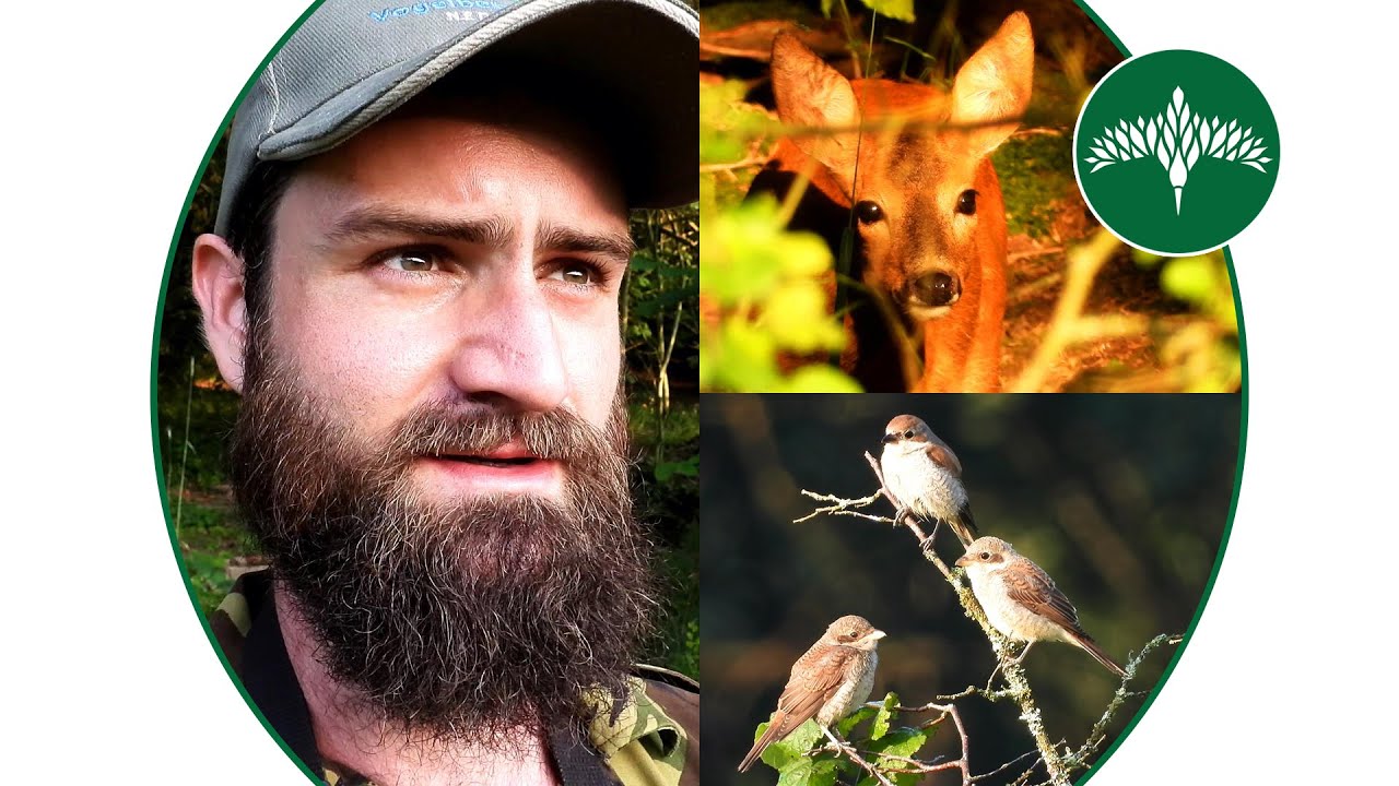 Vlog 9 - Zonnige natuurvakantie in de Eifel