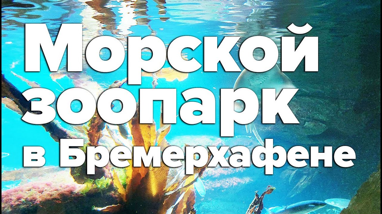 Морской зоопарк в Бремерхафене / Зоопарк в Германии / Зоопарк на Северном море