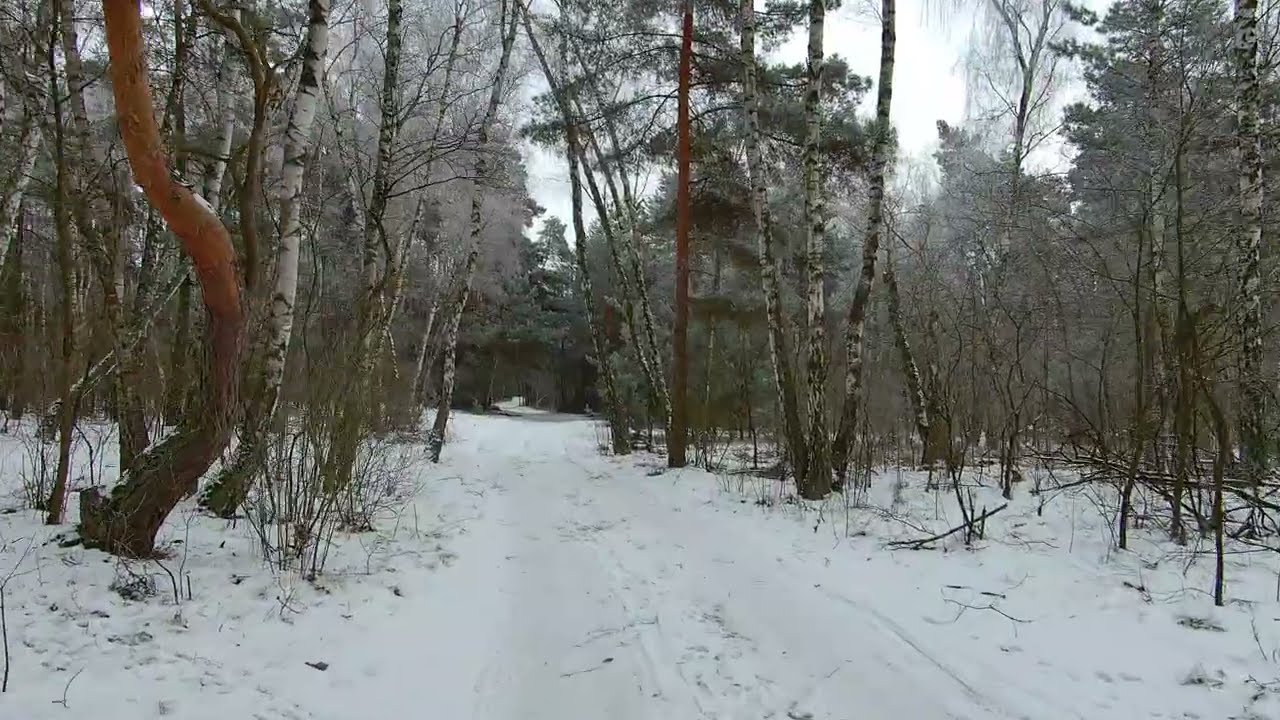 Opactwo Cystersów w Lądzie–Starorzeczne Kolano (początek: Lądek) 15