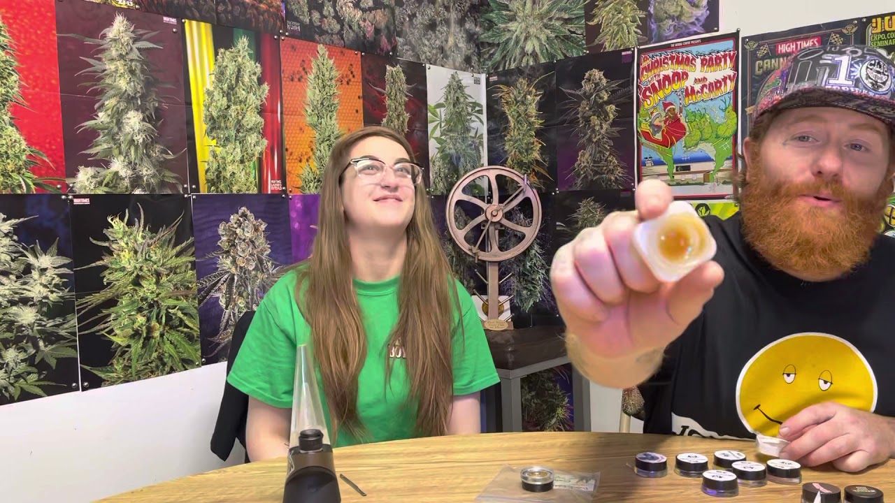 Dabs VS Dabs Final Entries Introduction & Update
