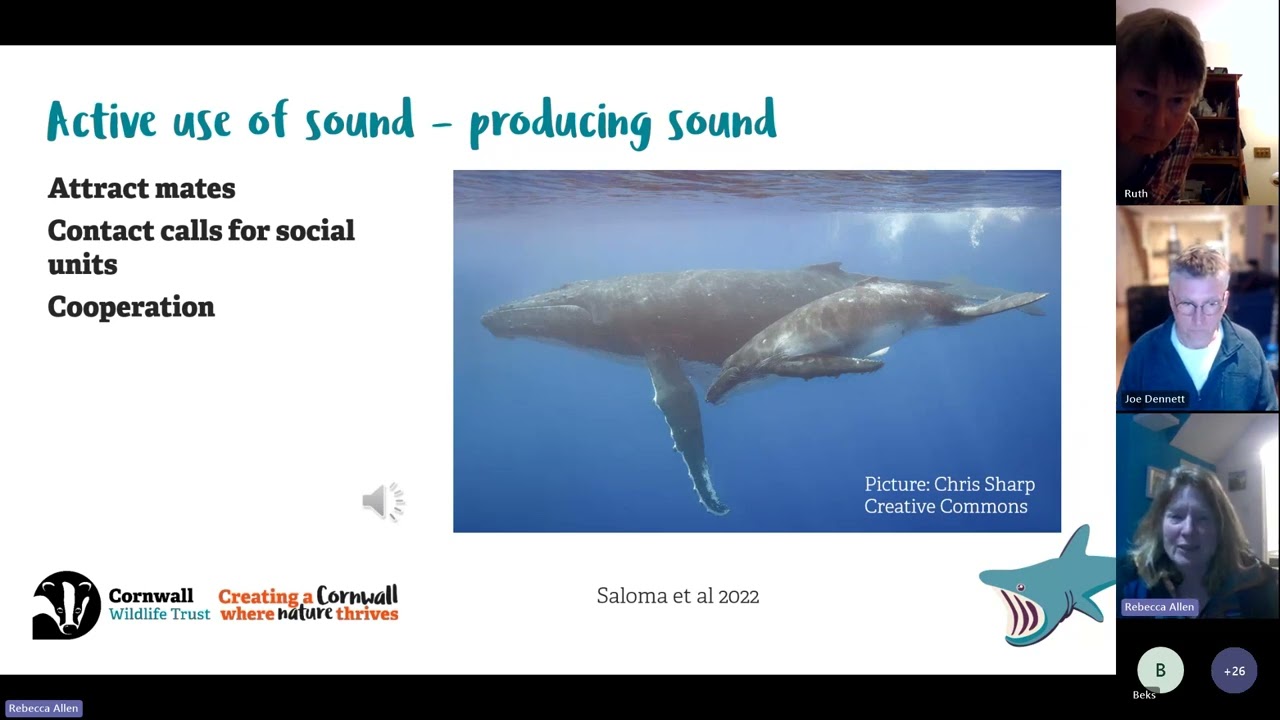 SWME 2025 Webinar Cetaceans  pt2