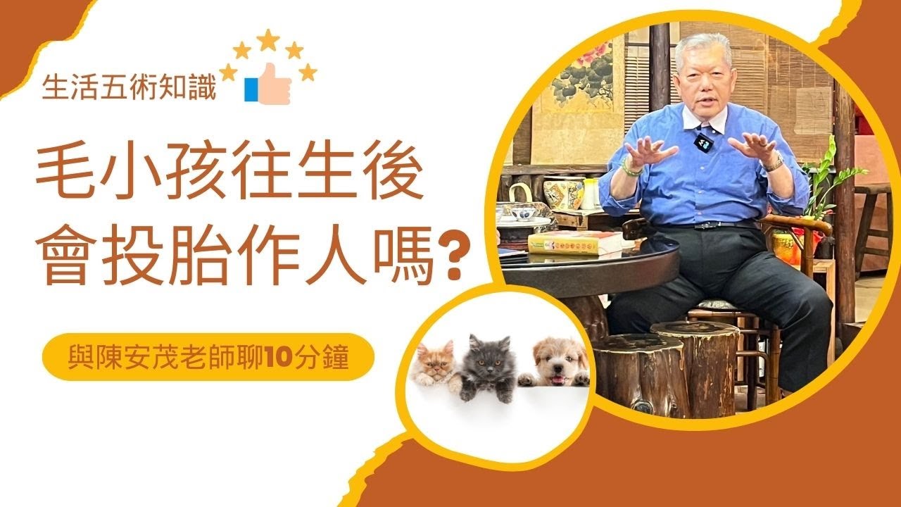 貓貓、狗狗毛小孩，都有令人不捨離開的一天，當牠們離開後，有機會投胎轉世來做人嗎？有可能有機會來做我們的親人嗎？『五術薪傳遇見陳安茂老師』